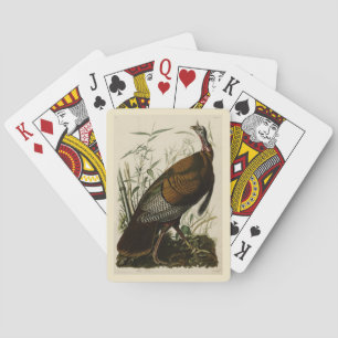 Jeu De Cartes Turquie sauvage (mâle) des oiseaux d'Amérique d'Au