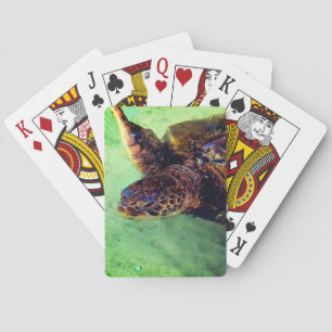 Jeu De Cartes Turtle