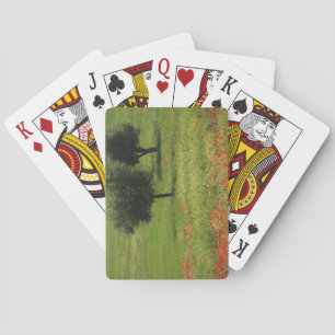 Jeu De Cartes Tuscany