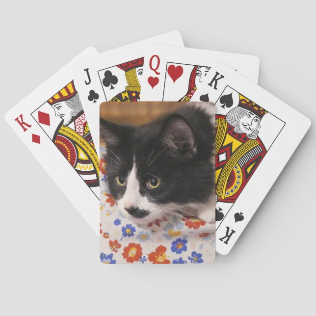 Jeu De Cartes Tuxedo (dos)