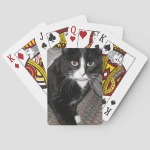 Jeu De Cartes Tuxedo Cat noir et blanc