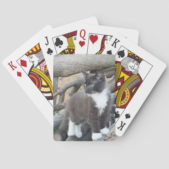 Jeu De Cartes Tuxedo Kitten (dos)