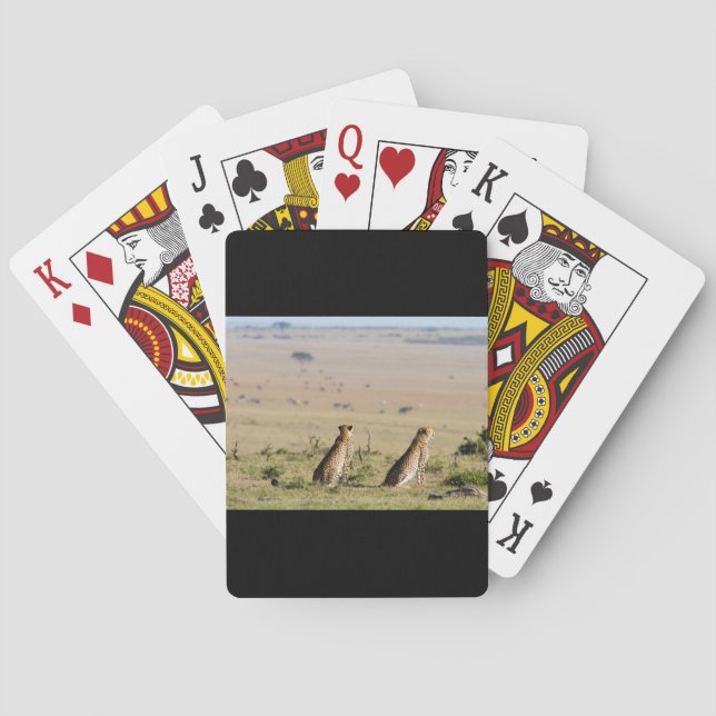Jeu De Cartes Two cheetahs on the look out (dos)