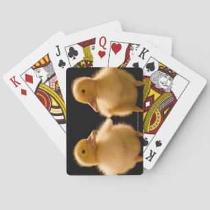 Jeu De Cartes Two Duckling Looking at one another