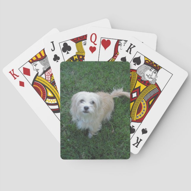 Jeu De Cartes Type bronzage chien de "Benji" sur l'herbe (dos)
