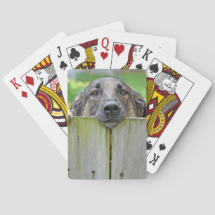 Jeu De Cartes Un berger allemand regarde la clôture