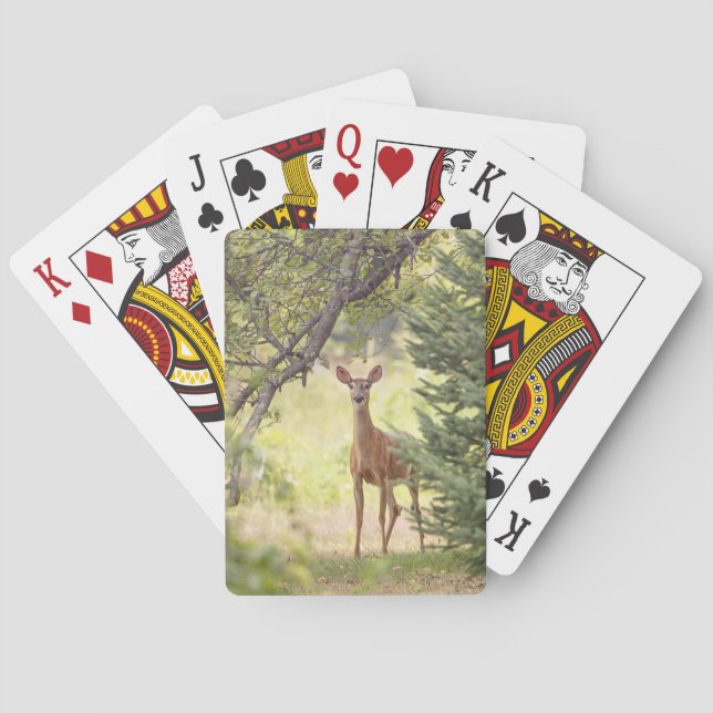 Jeu De Cartes Un cerf solitaire (dos)