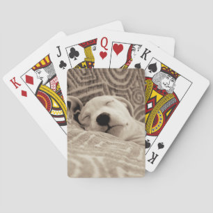 Jeu De Cartes Un chien fatigué