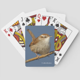 Jeu De Cartes Un curieux Wren de Bewick's Wren dans l'arbre