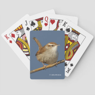 Jeu De Cartes Un curieux Wren de Bewick's Wren dans l'arbre