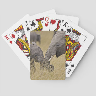 Jeu De Cartes Un éléphant d'Afrique paissant dans les champs