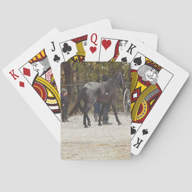 Jeu De Cartes Un nouveau cheval (dos)