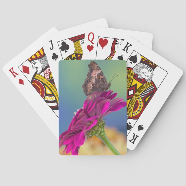 Jeu De Cartes Un papillon de machaon | Papilio Multicaudatus (dos)