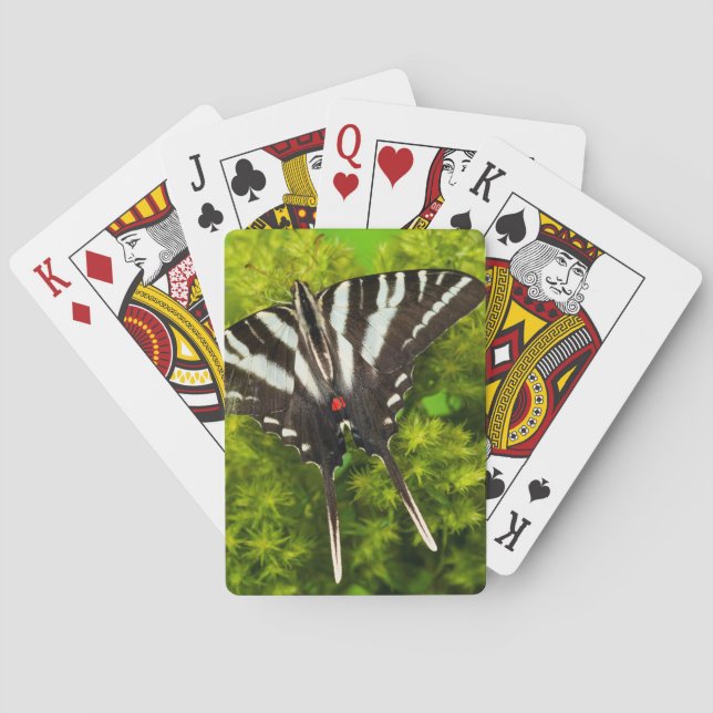 Jeu De Cartes Un papillon swallowtail nord-américain (dos)