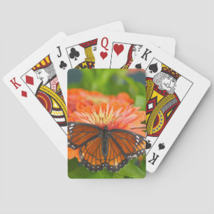 Jeu De Cartes Un papillon vice-roi sur des zinnias orange