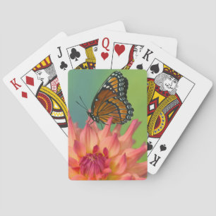 Jeu De Cartes Un papillon vice-roi sur une zinnia
