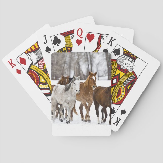 Jeu De Cartes Un paysage hivernal de course (dos)