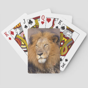 Jeu De Cartes Un portrait d'un Lion regardant au loin