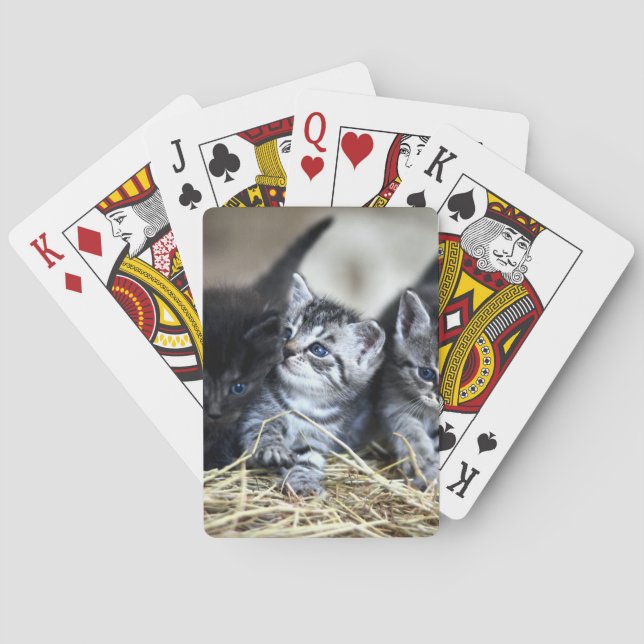 Jeu De Cartes Un trio de chatons nessonnés ensemble (dos)