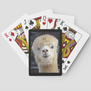Jeu De Cartes Un visage mignon et duveteux d'alpaca   