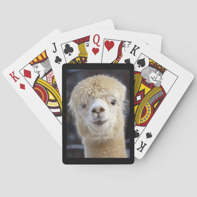 Jeu De Cartes Un visage mignon et duveteux d'alpaca    (dos)