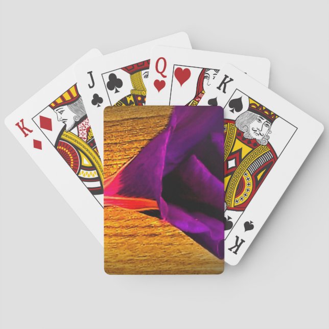 Jeu De Cartes Une espèce (dos)