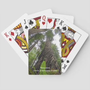 Jeu De Cartes Une foune qui atteint le ciel le long de l'écorce