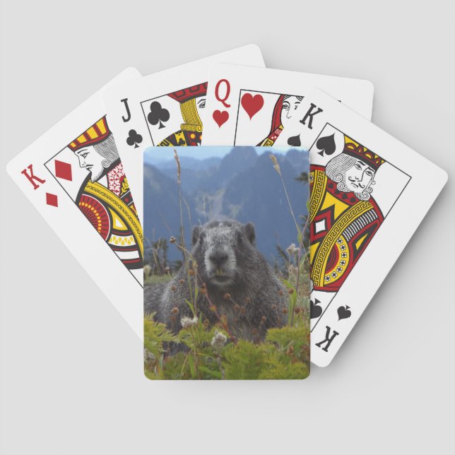 Jeu De Cartes Une marmotte au Paradis dans le Parc National du M (dos)