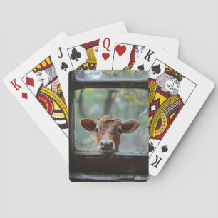 Jeu De Cartes Une vache curieuse qui regarde à travers une fenêt