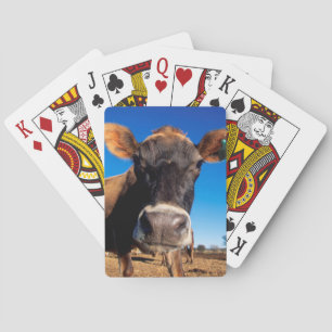 Jeu De Cartes Une vache Jersey curieuse