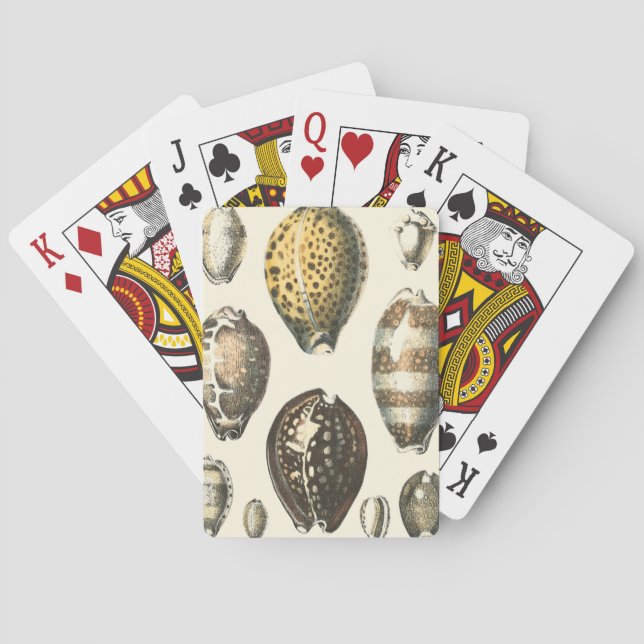 Jeu De Cartes Uniquely Shaped Seashells (dos)