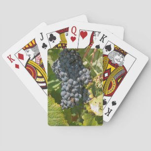 Jeu De Cartes Uruguay, Montevideo, Colon Area. Bodegas
