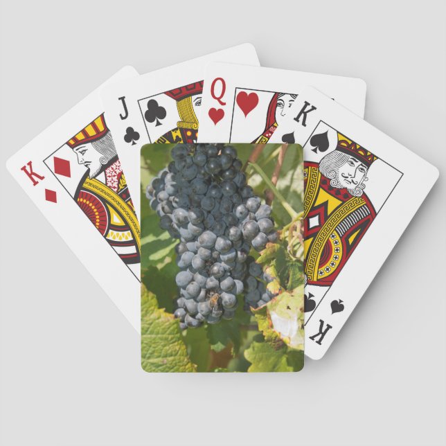 Jeu De Cartes Uruguay, Montevideo, zone de Colon. Caves (dos)