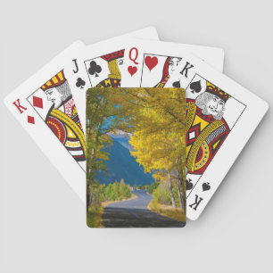 Jeu De Cartes USA, Colorado. Route Flanquée Par Aspens