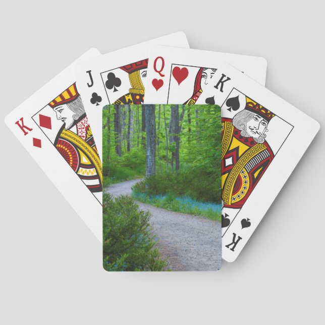 Jeu De Cartes USA, Michigan. Path Thru The Woods (dos)