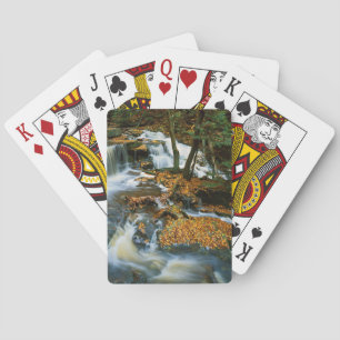 Jeu De Cartes USA, Pennsylvanie, Ricketts Glen State Park