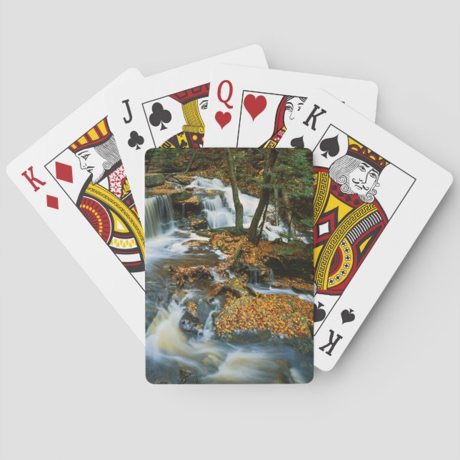 Jeu De Cartes USA, Pennsylvanie, Ricketts Glen State Park (dos)