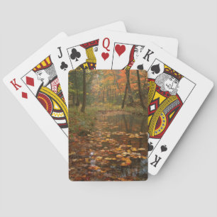 Jeu De Cartes USA, Virginia, Autumn In Douthat State Park