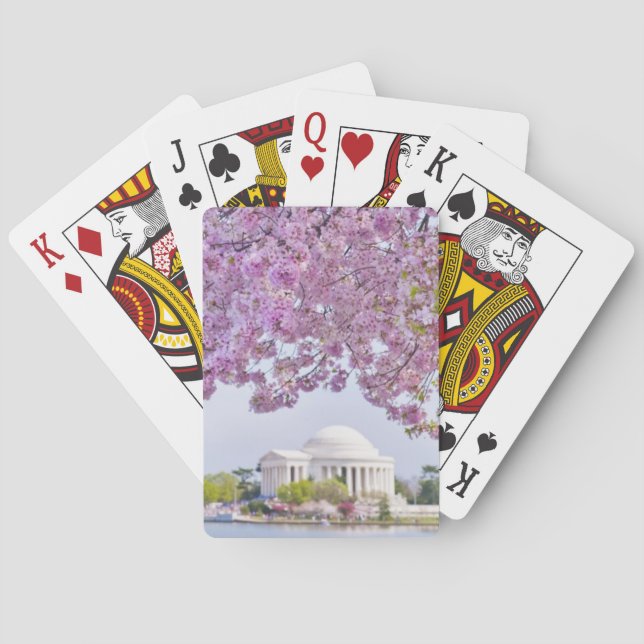 Jeu De Cartes USA, Washington DC, Cherry tree in bloom (dos)