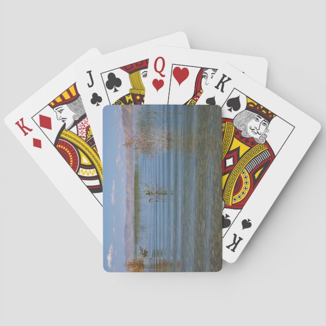Jeu De Cartes UT, Bear Lake (dos)