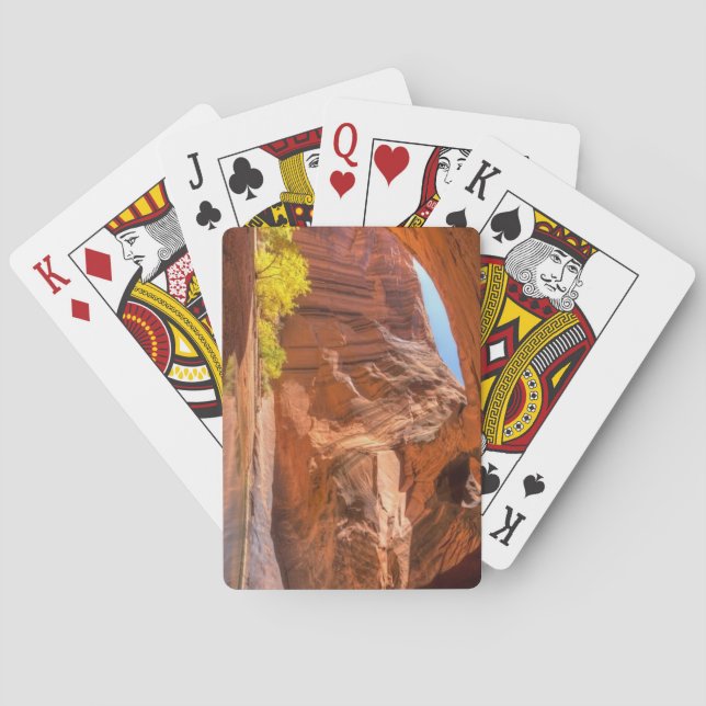 Jeu De Cartes Utah, CATHÉDRALE D'OR (dos)