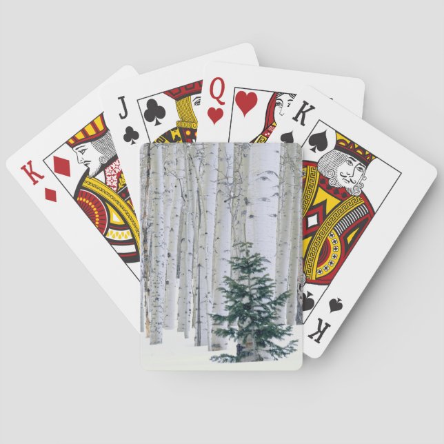 Jeu De Cartes UTAH. ÉTATS-UNIS. Tremble (Populus tremuloides) &  (dos)