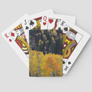 Jeu De Cartes Utah. USA. Les Arbres D'Aspen À L'Automne Sur La R
