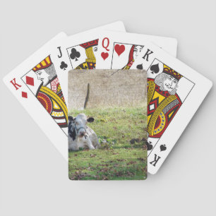 Jeu De Cartes Vache laitière reposante