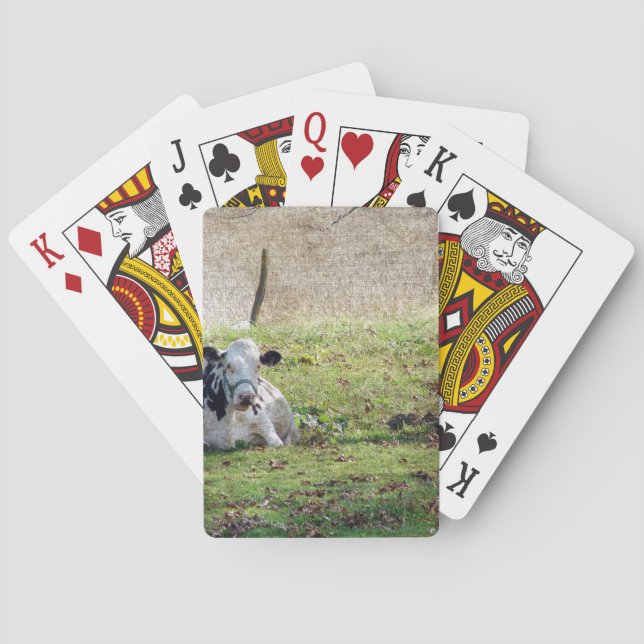 Jeu De Cartes Vache laitière reposante (dos)