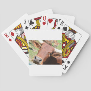 Jeu De Cartes Vache Safari Brown