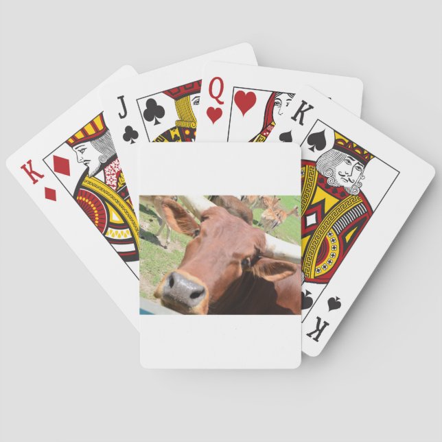 Jeu De Cartes Vache Safari Brown (dos)