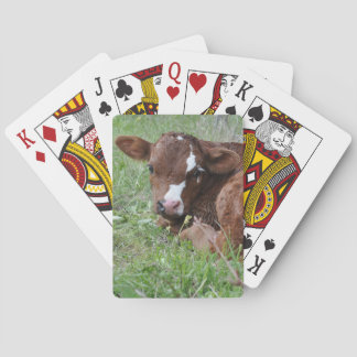 Jeu De Cartes veau rouge et blanc