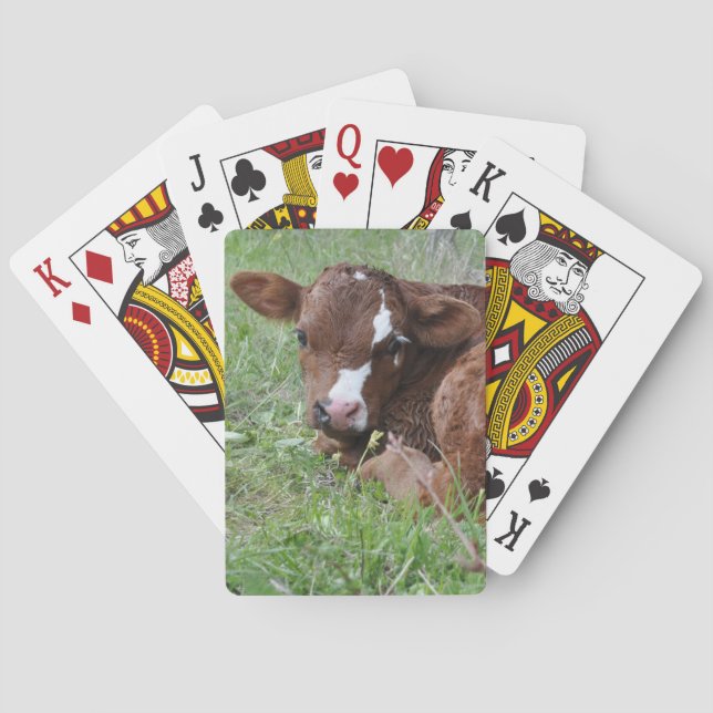 Jeu De Cartes veau rouge et blanc (dos)