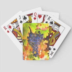 Jeu De Cartes Vendanges de vignoble de pays du vin d'automne